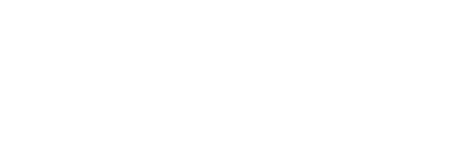 Aktionen LSR